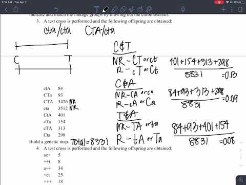 Microsoft MB-240 Latest Dumps Sheet - MB-240 Authentic Exam Questions