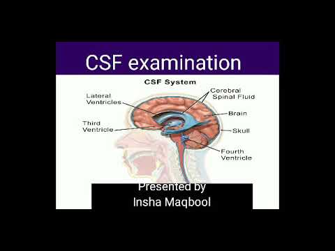 D-CSF-SC-23 Practical Information, Reliable D-CSF-SC-23 Dumps Pdf | D-CSF-SC-23 Trustworthy Exam Torrent