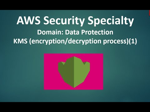 Amazon Reliable AWS-Security-Specialty Test Notes - AWS-Security-Specialty Exam Topic