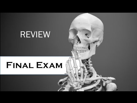 202-450 New Real Exam, New 202-450 Exam Answers | 202-450 Test Engine