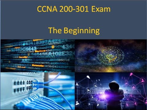 200-301 Intereactive Testing Engine - Cisco 200-301 Preparation Store