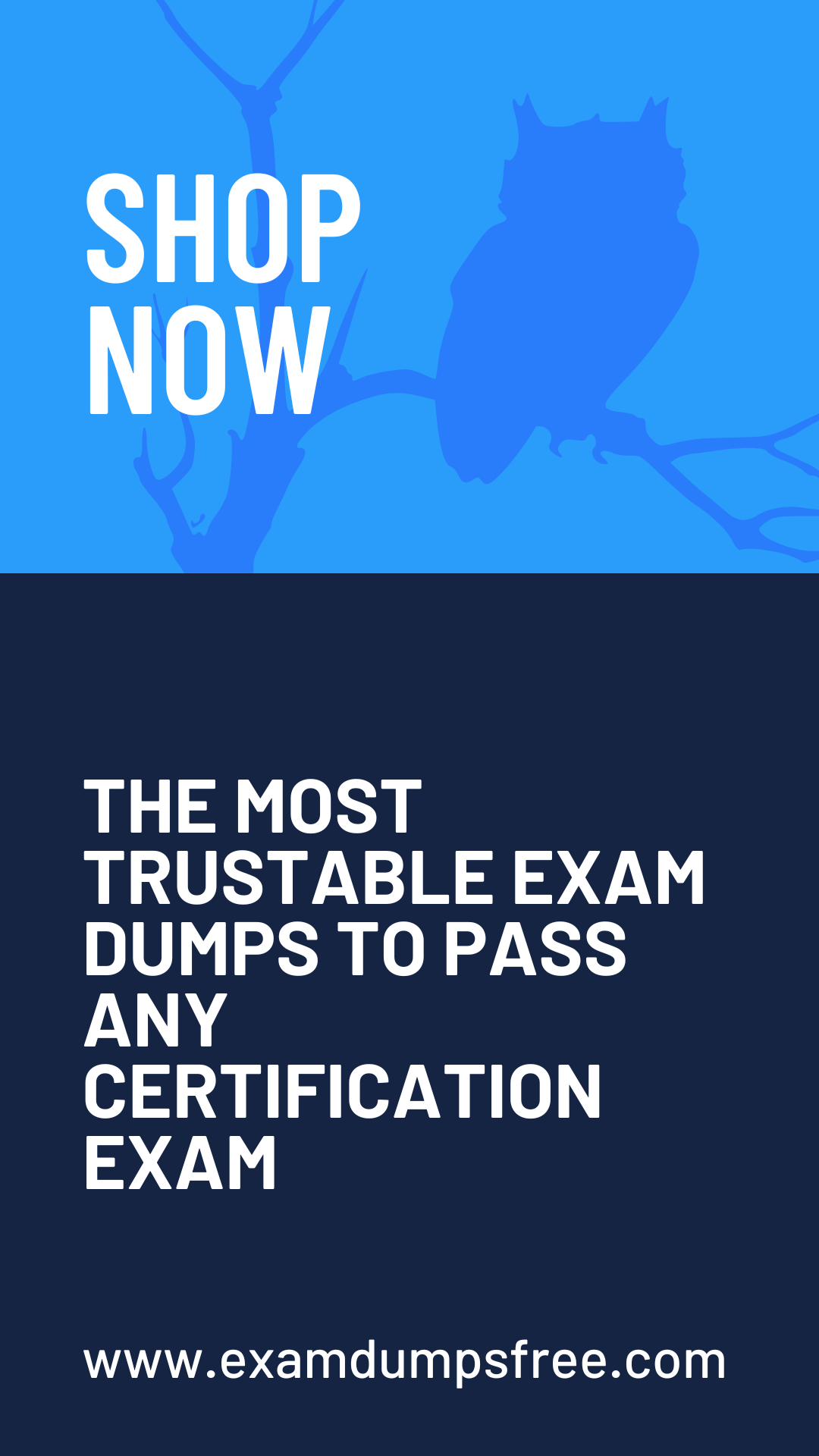 2024 Exam Dumps CTAL-TA_Syll2019 Pdf, Reliable CTAL-TA_Syll2019 Test Guide | Practice ISTQB Certified Tester Advanced Level - Test Analyst (Syllabus 2019) Tests