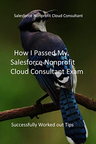 Free Nonprofit-Cloud-Consultant Practice Exams, Nonprofit-Cloud-Consultant Test Guide | Nonprofit-Cloud-Consultant Exam Testking