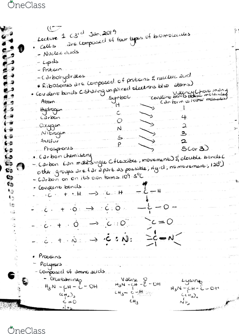 Exam C-BRSOM-2020 Demo & C-BRSOM-2020 Certification Sample Questions