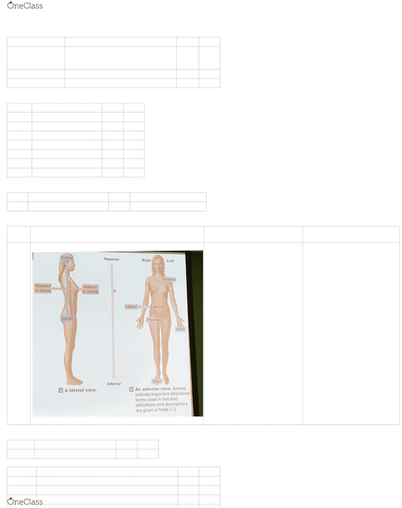 010-151 Latest Braindumps Sheet | Reliable 010-151 Exam Cram