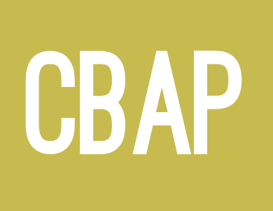 CBAP Valid Test Papers, CBAP Valid Exam Camp Pdf | CBAP Reliable Test Online