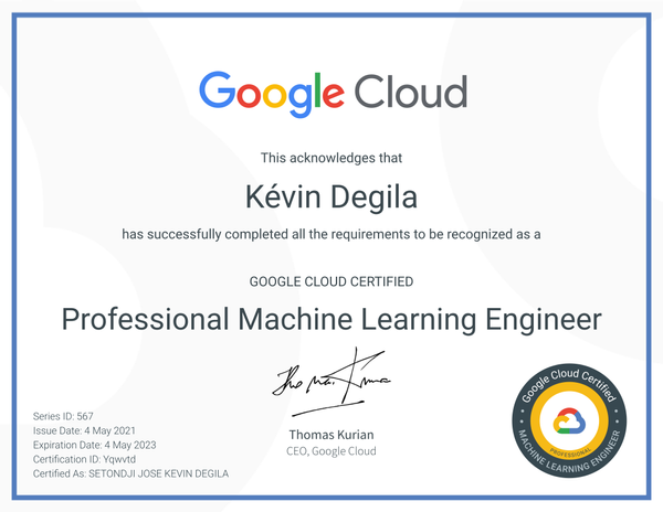 Google Training Professional-Machine-Learning-Engineer Solutions | Free Professional-Machine-Learning-Engineer Braindumps