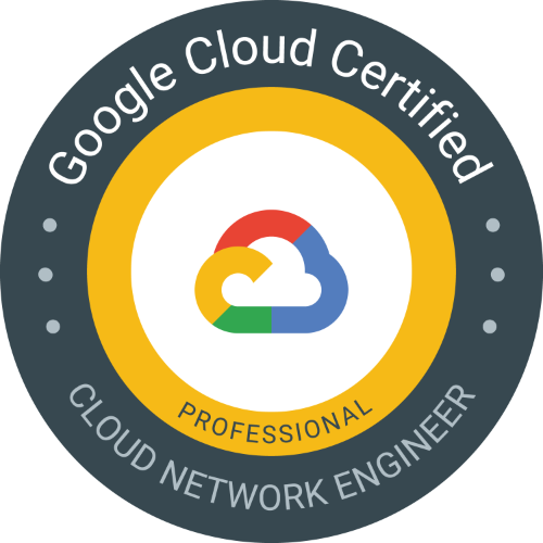 Professional-Cloud-Network-Engineer Valid Test Blueprint - Professional-Cloud-Network-Engineer Braindump Free, Test Professional-Cloud-Network-Engineer King