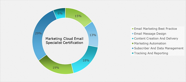 Salesforce Marketing-Cloud-Email-Specialist Interactive Course & Marketing-Cloud-Email-Specialist Dumps - New Marketing-Cloud-Email-Specialist Test Blueprint