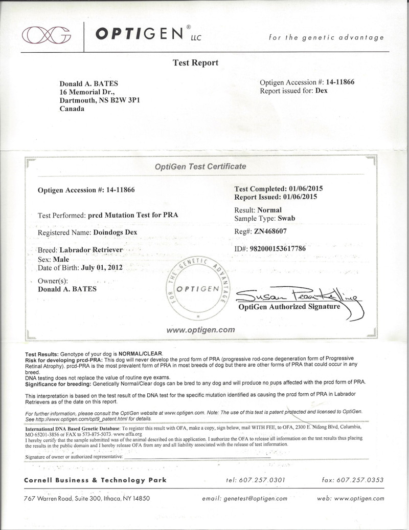 Latest DEX-403 Dumps Sheet & Salesforce Formal DEX-403 Test