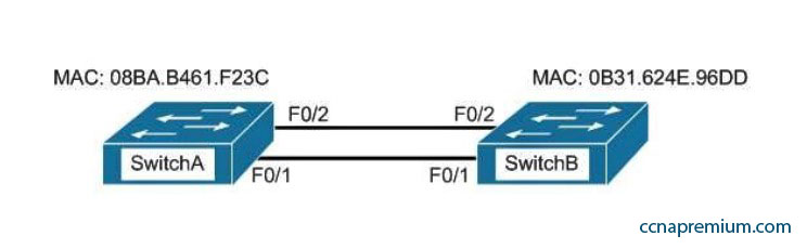 Cisco 200-301높은통과율공부문제 & 200-301최신버전인기덤프문제 - 200-301인기자격증시험덤프최신자료