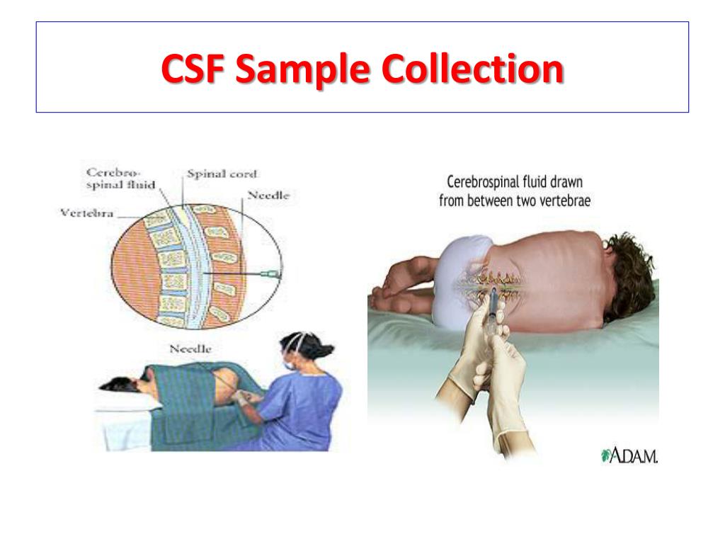 EMC D-CSF-SC-23최신버전공부문제, D-CSF-SC-23시험패스가능덤프자료 & D-CSF-SC-23시험패스덤프공부자료