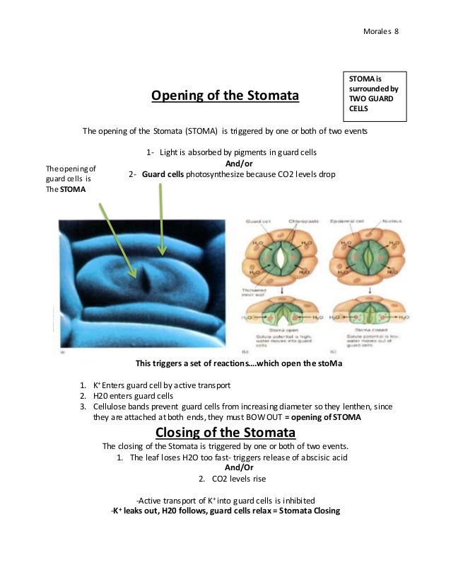 102-500높은통과율시험공부 - 102-500인증시험공부, LPIC-1 Exam 102, Part 2 of 2, version 5.0시험대비덤프문제