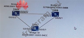 H12-811-ENU응시자료 & H12-811-ENU완벽한덤프문제 - HCIA-Datacom V1.0인기시험자료