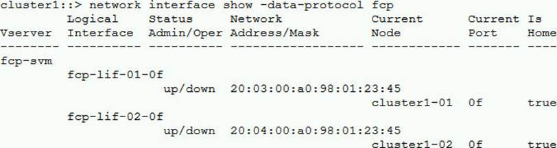 Network Appliance NS0-303인증시험대비덤프공부 & NS0-303최신시험대비공부자료 - NS0-303시험패스가능덤프자료