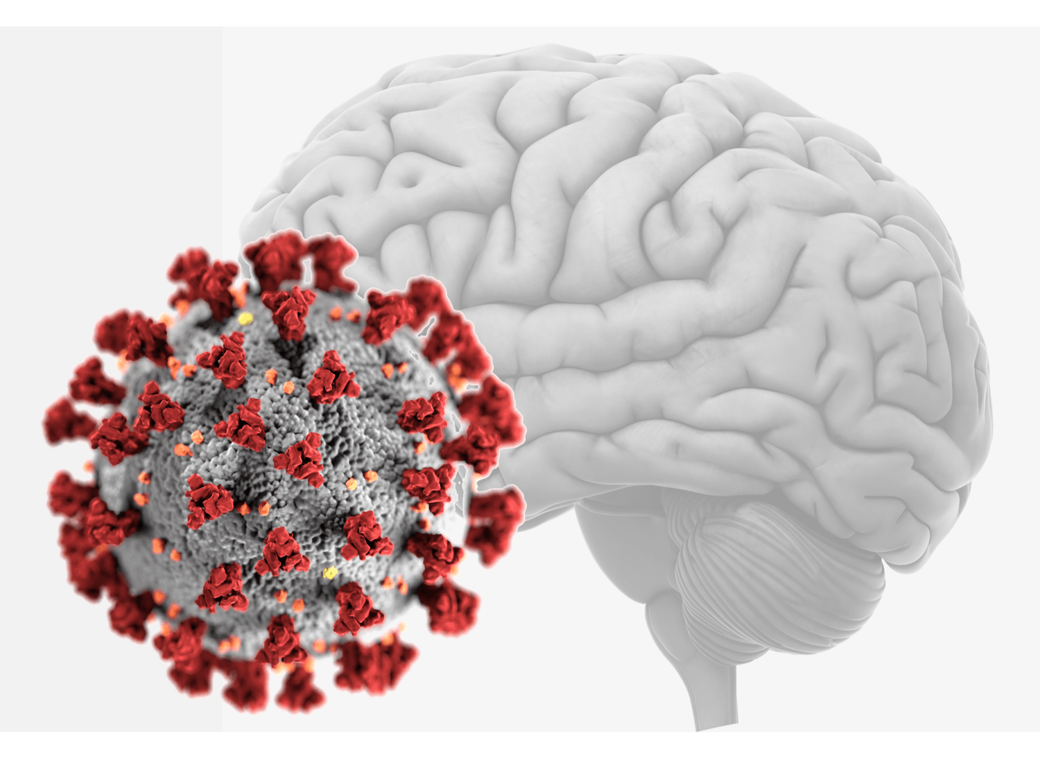 C-BRSOM-2020시험패스가능덤프자료, C-BRSOM-2020최고덤프 & C-BRSOM-2020완벽한인증자료