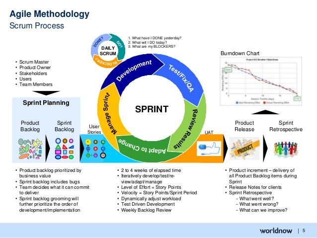 PSPO-II유효한최신덤프공부, PSPO-II합격보장가능시험덤프 & Professional Scrum Product Owner II인기자격증덤프공부자료