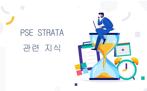 PSE-Strata최신버전시험자료 - PSE-Strata시험대비덤프최신버전, PSE-Strata시험대비최신버전덤프자료