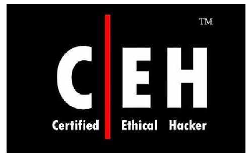 2025 312-50v12인증시험대비덤프공부 - 312-50v12합격보장가능덤프문제, Certified Ethical Hacker Exam최신시험대비공부자료