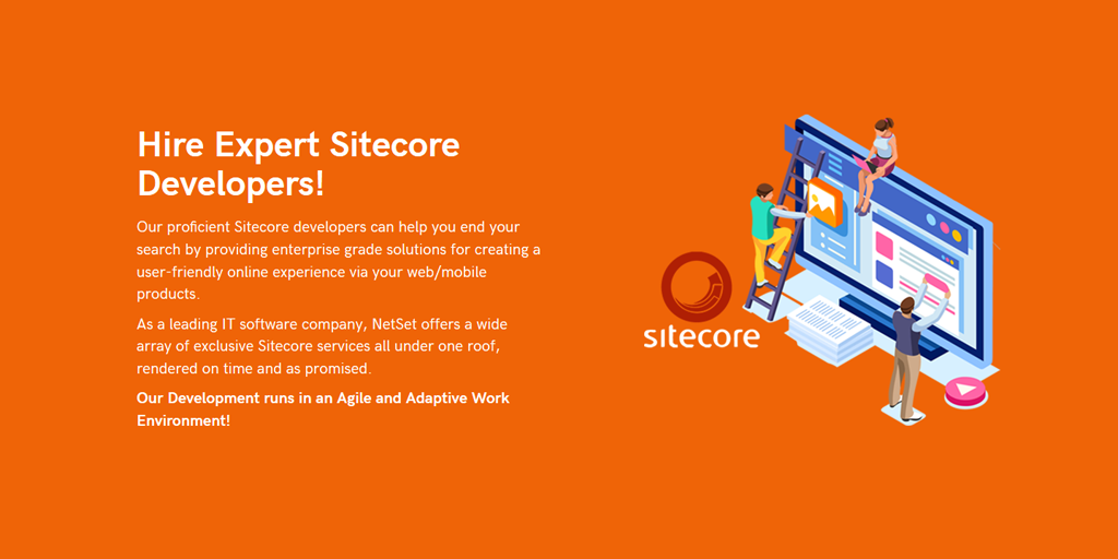 Sitecore-10-NET-Developer최신업데이트버전인증시험자료 & Sitecore-10-NET-Developer최신버전공부자료 - Sitecore-10-NET-Developer시험문제모음