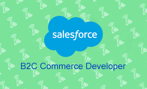 B2C-Commerce-Developer최신버전덤프샘플문제 & B2C-Commerce-Developer유효한공부 - B2C-Commerce-Developer시험패스인증공부