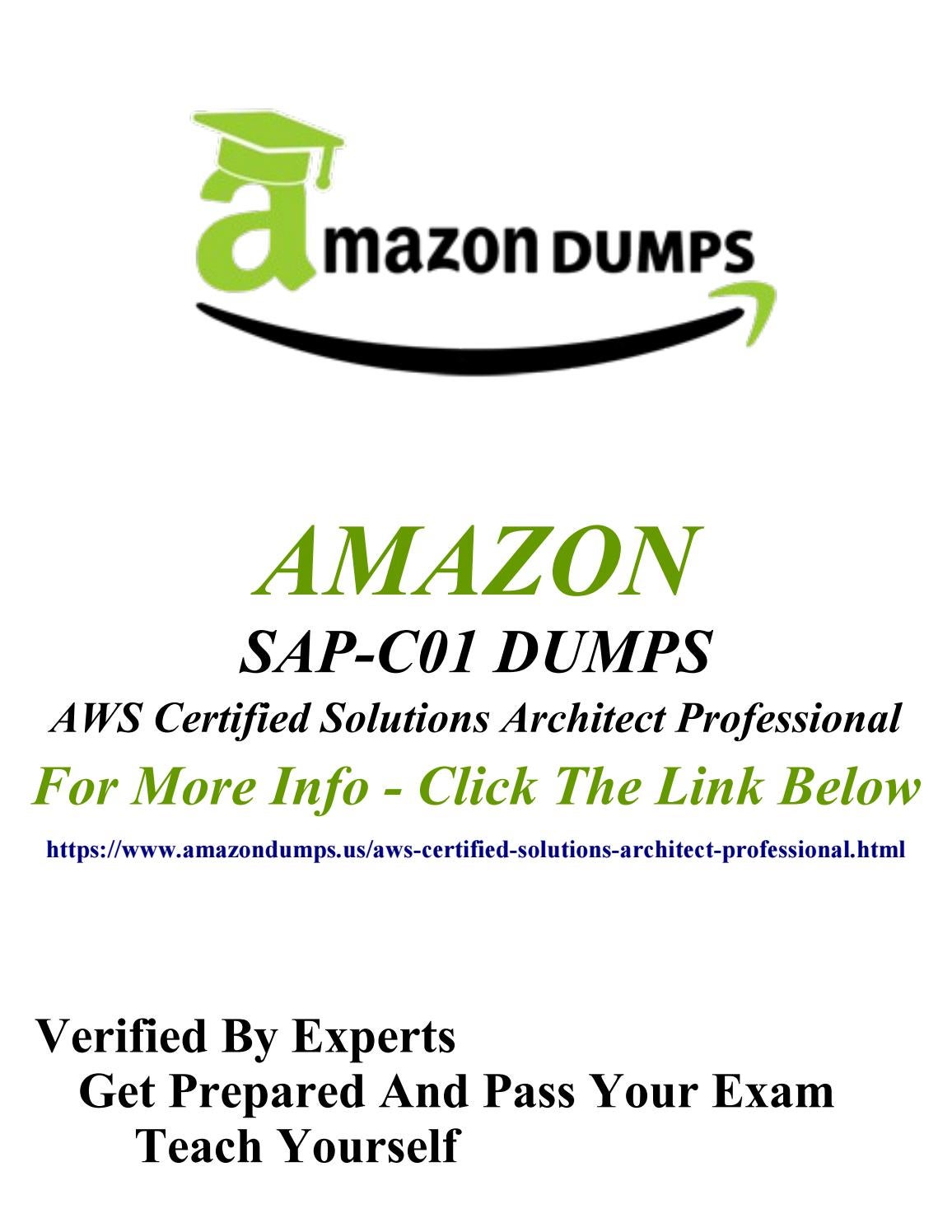 2024 SAP-C02인증시험인기덤프자료 & SAP-C02높은통과율인기시험자료 - AWS Certified Solutions Architect - Professional (SAP-C02)덤프샘플문제체험