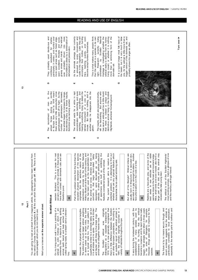 CAE인기자격증덤프자료, CAE퍼펙트덤프최신샘플 & CAE Vce