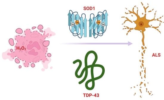 D-CSF-SC-23최신덤프 & D-CSF-SC-23시험대비덤프최신데모 - D-CSF-SC-23시험덤프자료