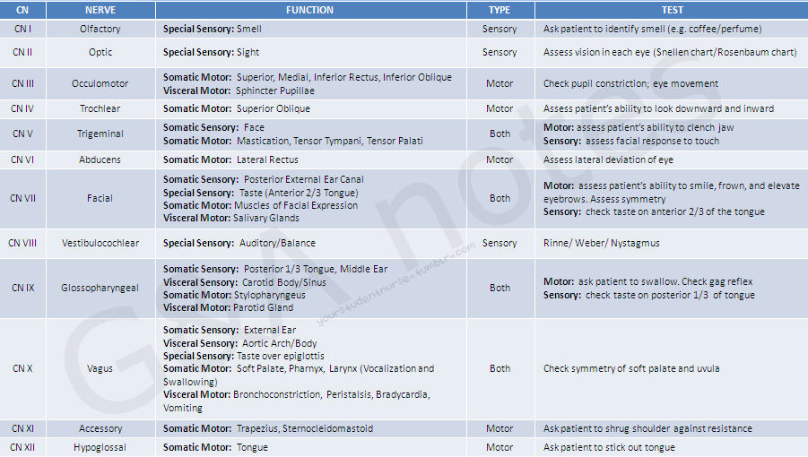 NCA-6.5최신업데이트버전시험자료 - NCA-6.5시험패스가능한인증공부자료, NCA-6.5최고품질덤프샘플문제