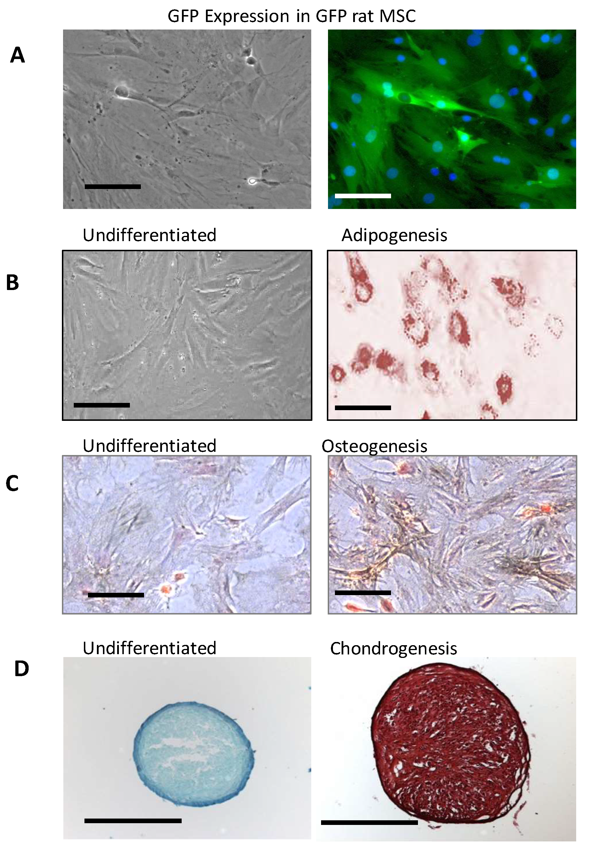 D-PSC-DS-23퍼펙트최신덤프공부 & D-PSC-DS-23완벽한시험자료 - D-PSC-DS-23높은통과율덤프데모문제