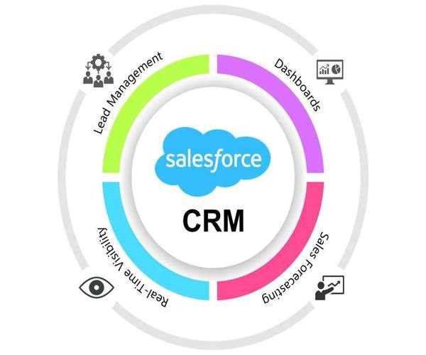 Salesforce Customer-Data-Platform Dump, Customer-Data-Platform퍼펙트덤프최신문제 & Customer-Data-Platform유효한덤프