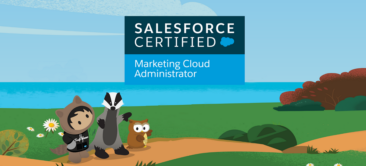 2024 Marketing-Cloud-Administrator유효한덤프공부, Marketing-Cloud-Administrator퍼펙트덤프최신버전 & Salesforce Certified Marketing Cloud Administrator Exam시험패스가능한인증공부자료