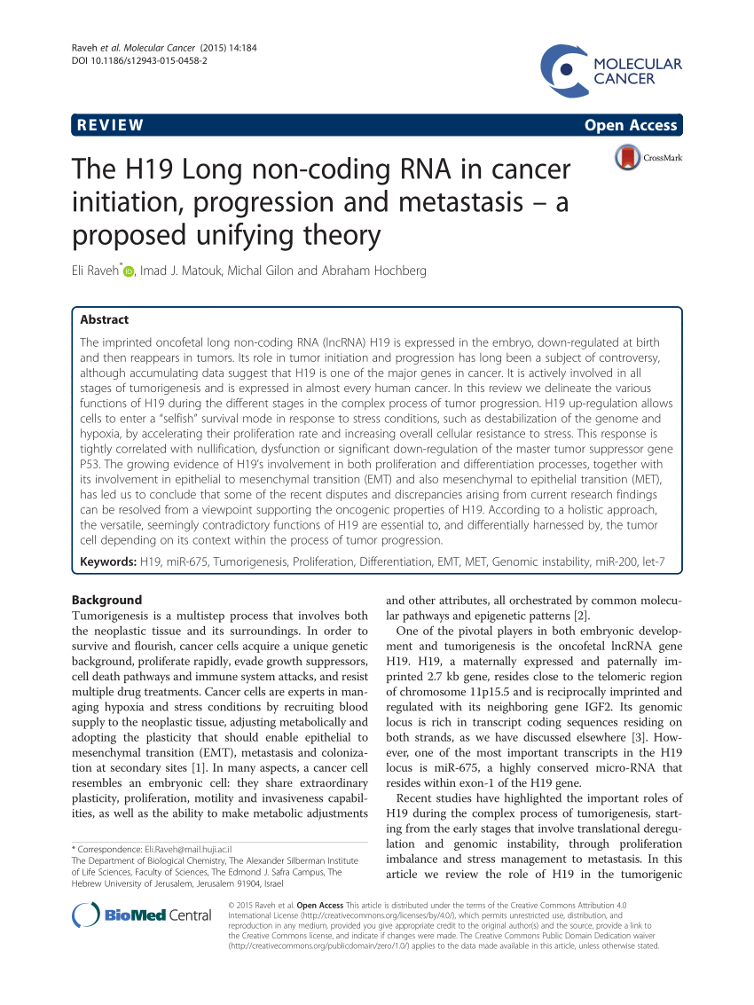 2024 H19-315受験対策書 & H19-315日本語独学書籍、HCSA-Presales-Transmission & Access日本語参考