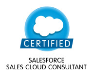 Sales-Cloud-Consultant模擬問題集、Sales-Cloud-Consultant合格率 & Salesforce Certified Sales Cloud Consultant日本語版参考書