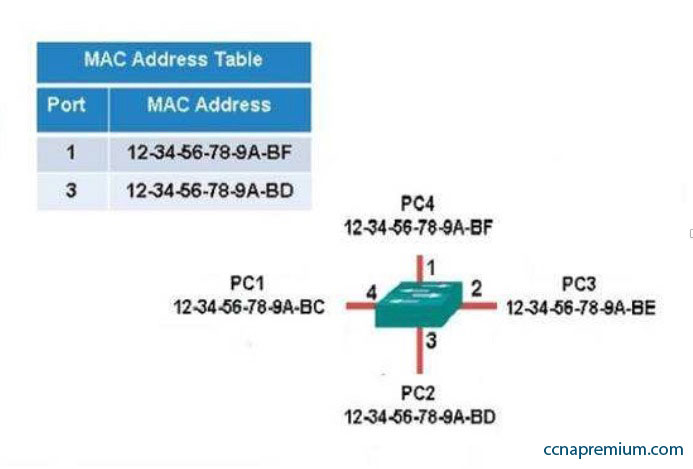 Cisco 200-301 Quizfragen Und Antworten & 200-301 German