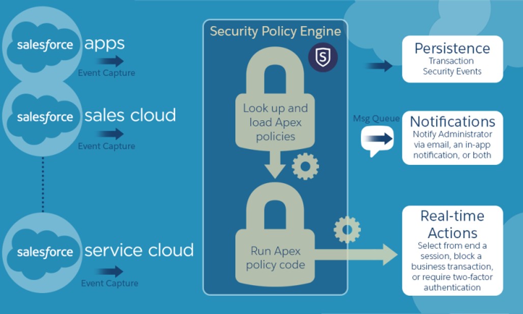 Security-and-Privacy-Accredited-Professional Musterprüfungsfragen, Security-and-Privacy-Accredited-Professional German & Security-and-Privacy-Accredited-Professional Examengine