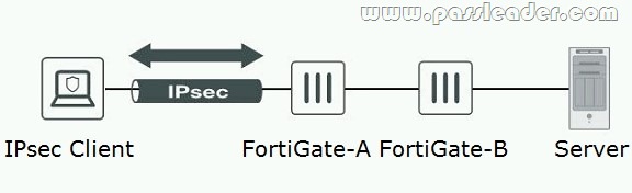 NSE8_812 Buch & Fortinet NSE8_812 Fragen Und Antworten - NSE8_812 Examengine