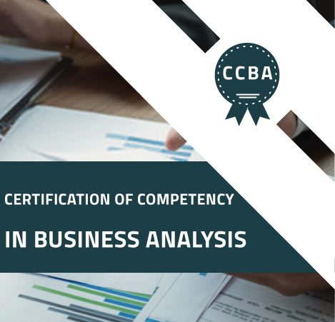 2025 CCBA Probesfragen - CCBA Examsfragen, Certification of Capability in Business Analysis (CCBA) Online Prüfung