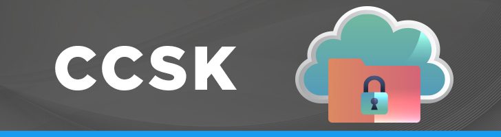 Cloud Security Alliance CCSK PDF Demo & CCSK Prüfungsfragen - CCSK Online Praxisprüfung