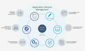 Development-Lifecycle-and-Deployment-Architect Vorbereitungsfragen - Salesforce Development-Lifecycle-and-Deployment-Architect Dumps Deutsch