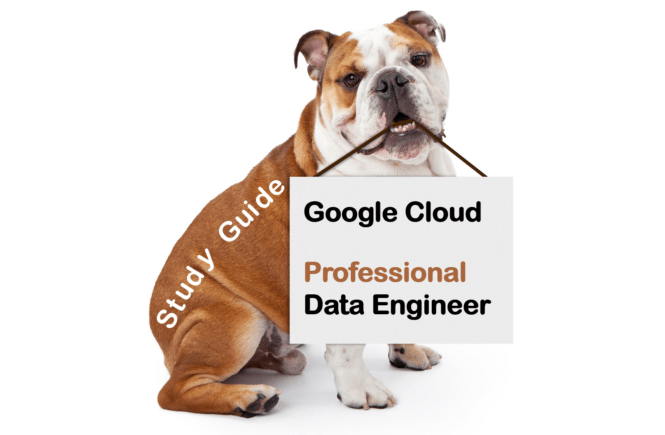 Google Cloud-Digital-Leader Fragen Beantworten & Cloud-Digital-Leader Examengine