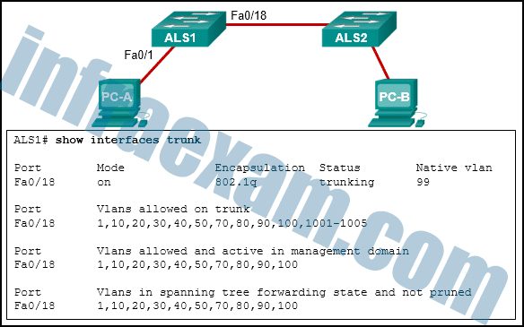 2024 IN101_V7 Prüfung - IN101_V7 Unterlage, BICSI Installer 1 Exam Testengine