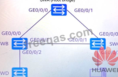 H12-351_V1.0 Schulungsunterlagen & Huawei H12-351_V1.0 Dumps - H12-351_V1.0 Exam Fragen