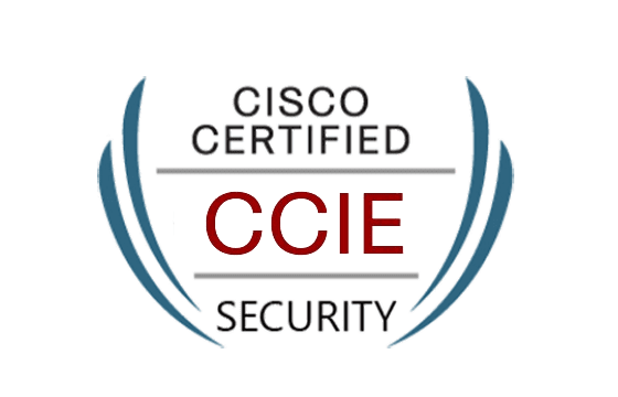 Cisco 350-601 Testking - 350-601 Übungsmaterialien, 350-601 Testengine