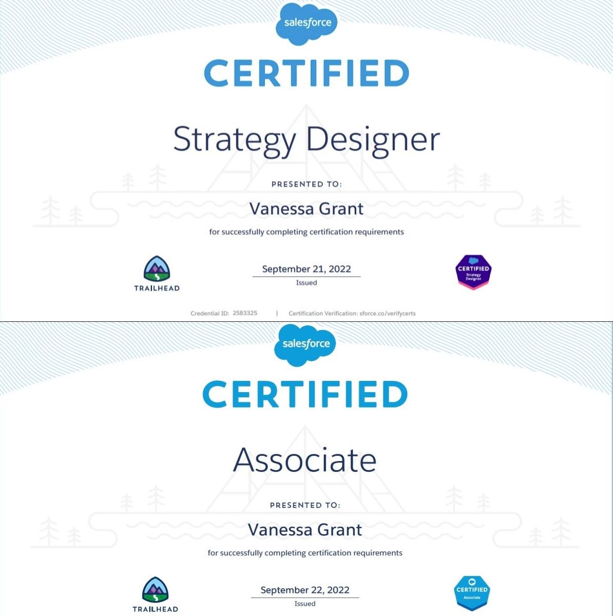 Salesforce Development-Lifecycle-and-Deployment-Architect Vorbereitungsfragen & Development-Lifecycle-and-Deployment-Architect Online Tests