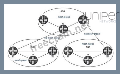 JN0-636 Fragen Und Antworten, Juniper JN0-636 Fragen Und Antworten