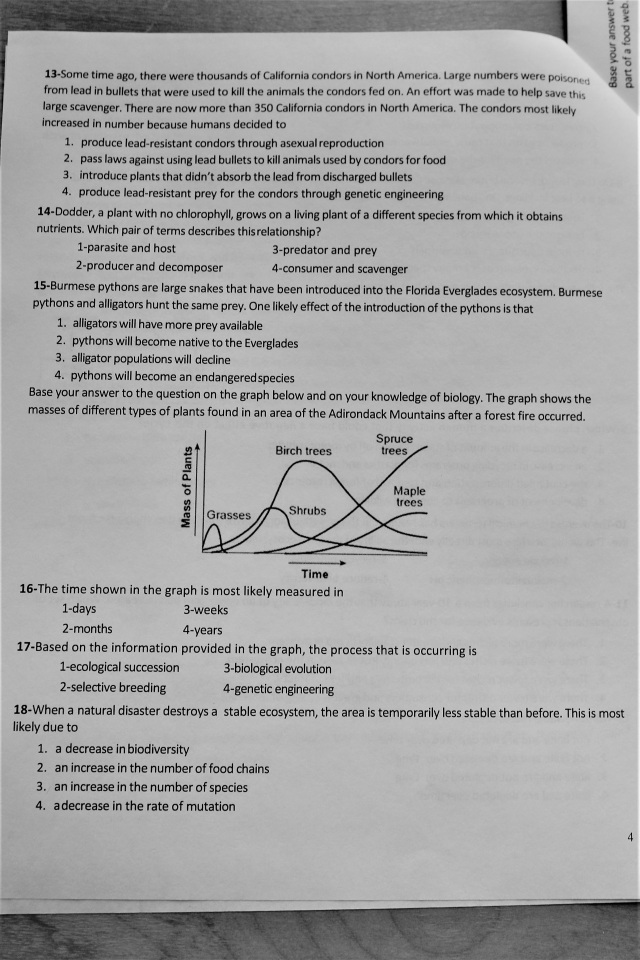 EEB-101 Exam - EEB-101 Prüfungen, EEB-101 Dumps