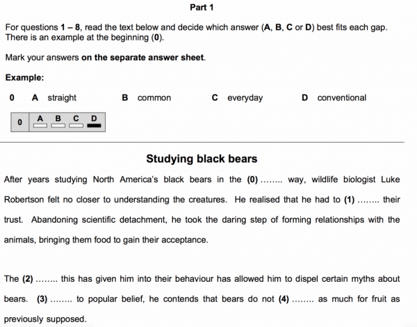 CAE Testantworten, CAE Lernressourcen & CAE Simulationsfragen