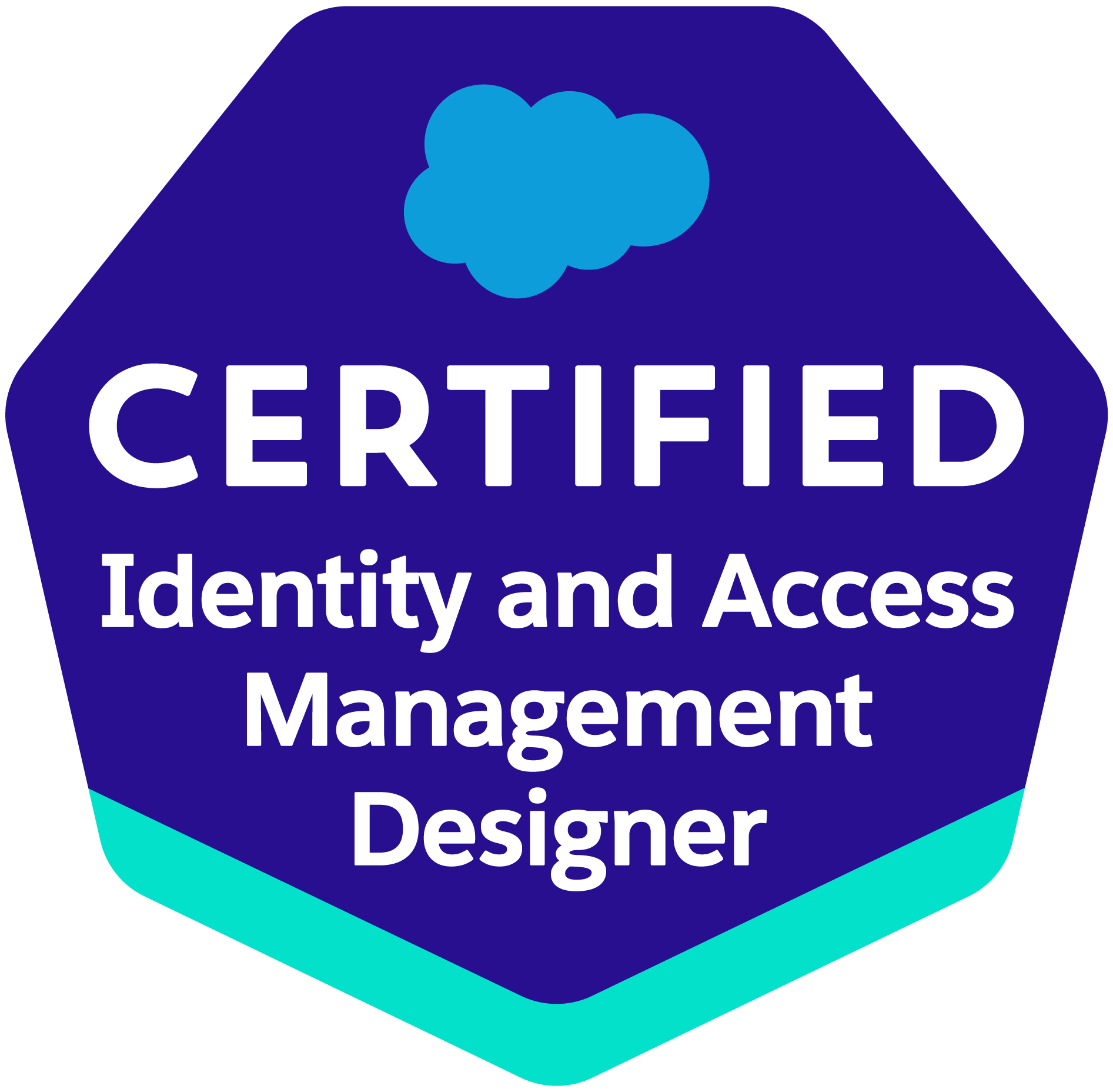 Identity-and-Access-Management-Designer Praxisprüfung, Identity-and-Access-Management-Designer Testantworten & Identity-and-Access-Management-Designer Online Test