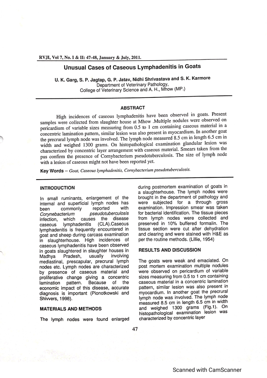 SAP C_C4HCX_24 Testengine, C_C4HCX_24 Buch & C_C4HCX_24 Testing Engine